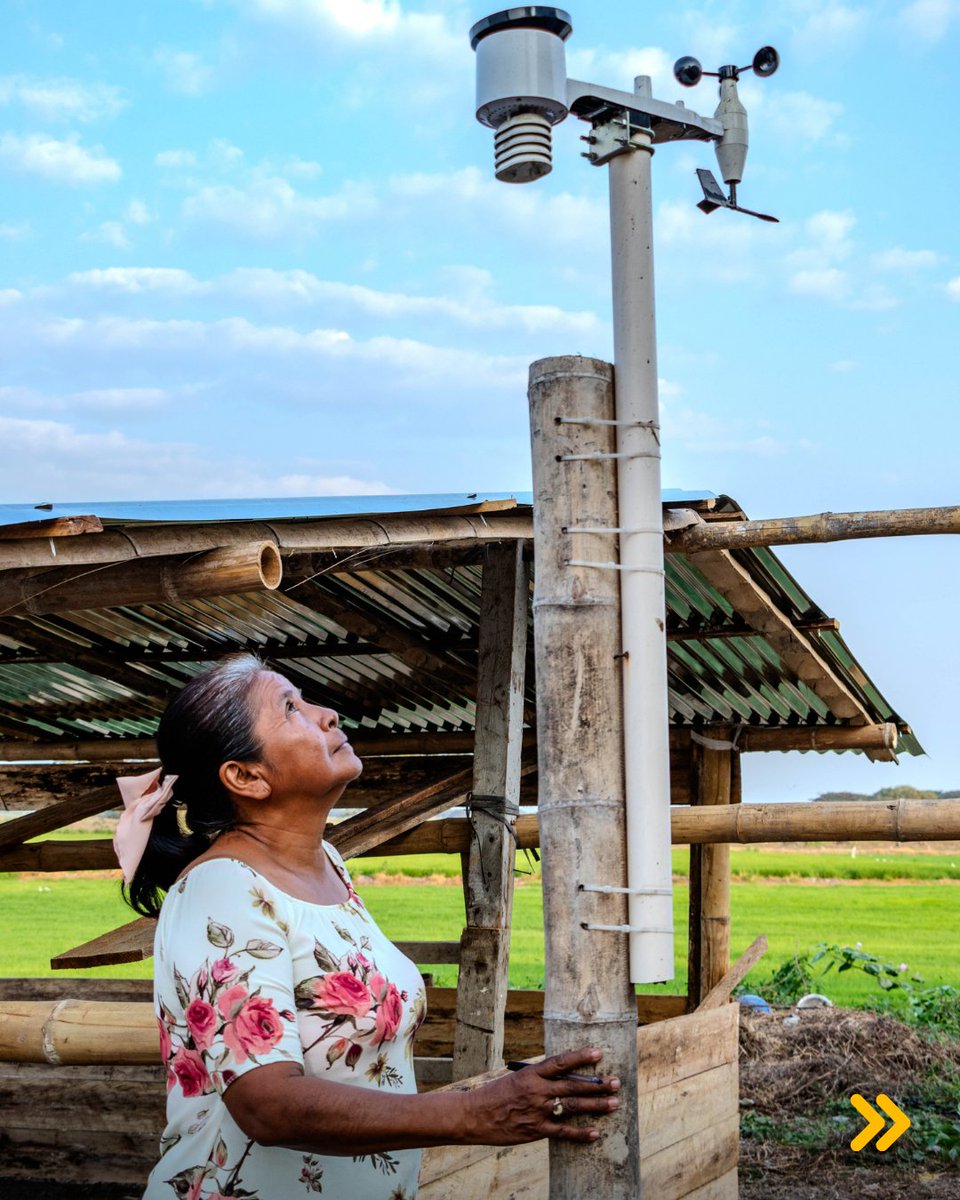ShareTheMeal - UN World Food Programme tweet media