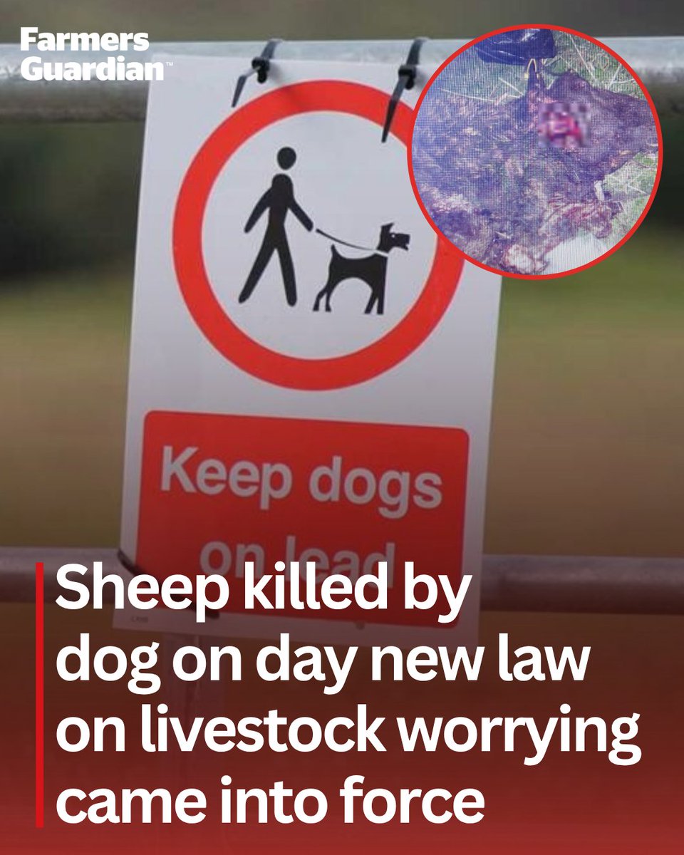 Farmers Guardian tweet media
