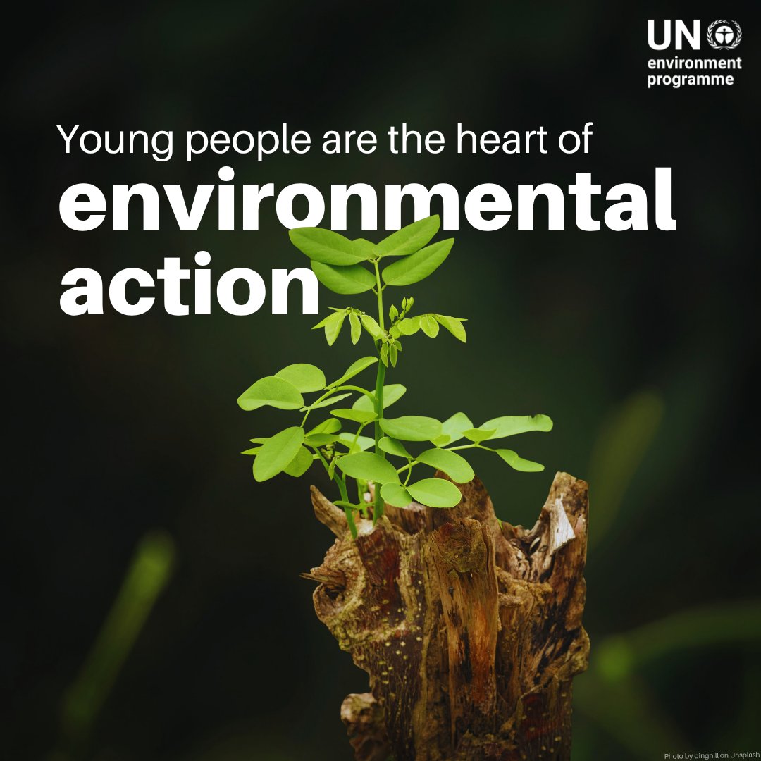 UN Environment Programme tweet media