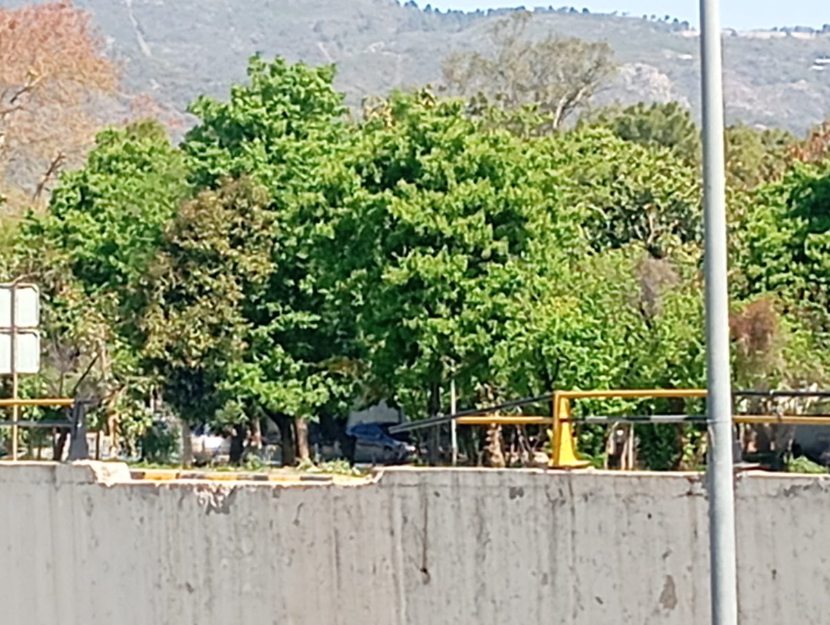 Ahmad Tasnim tweet media