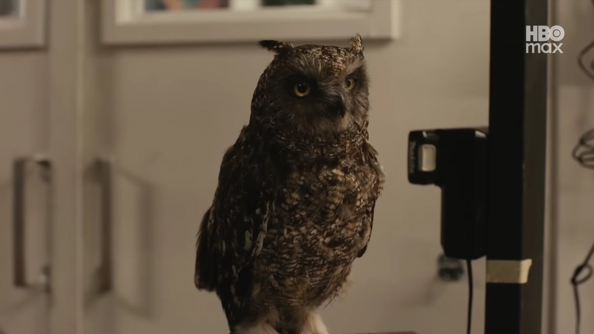 Harry Potter TV Show: COUNTDOWN tweet media