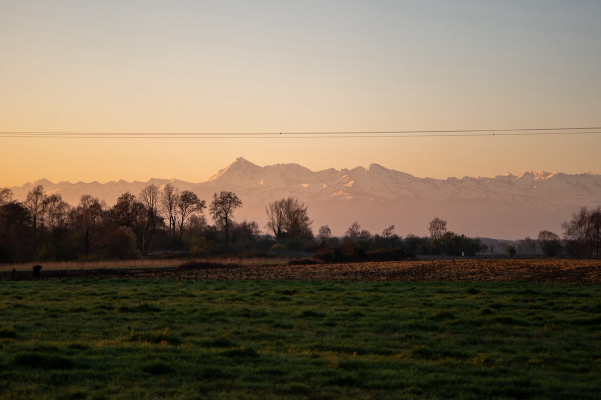 Raphael Barberi📷 tweet media