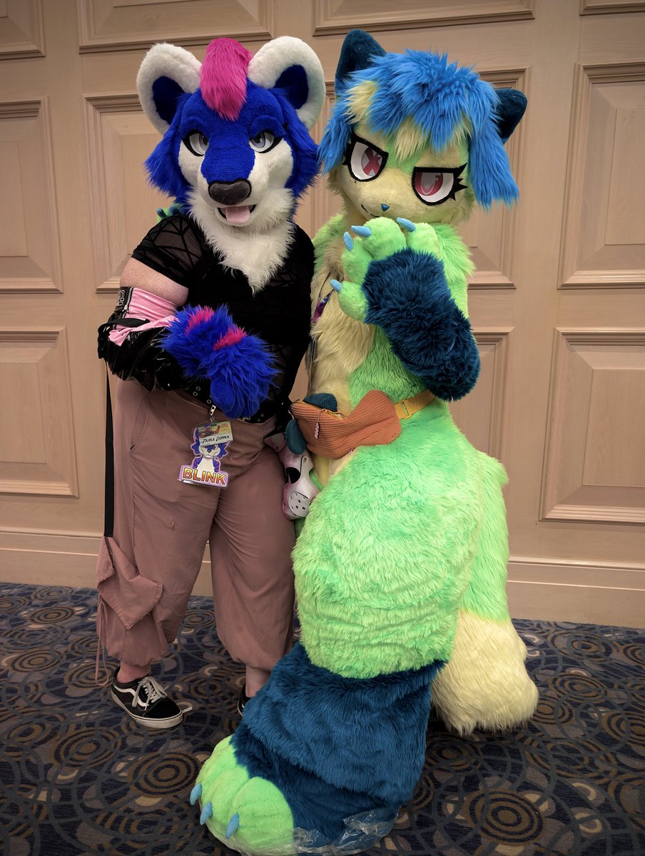 ✨🐼 Blink ✿ Lily 🦌✨ tweet media