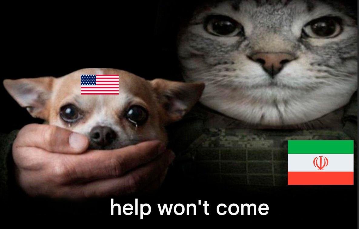 Parinda 2.0🕊 tweet media