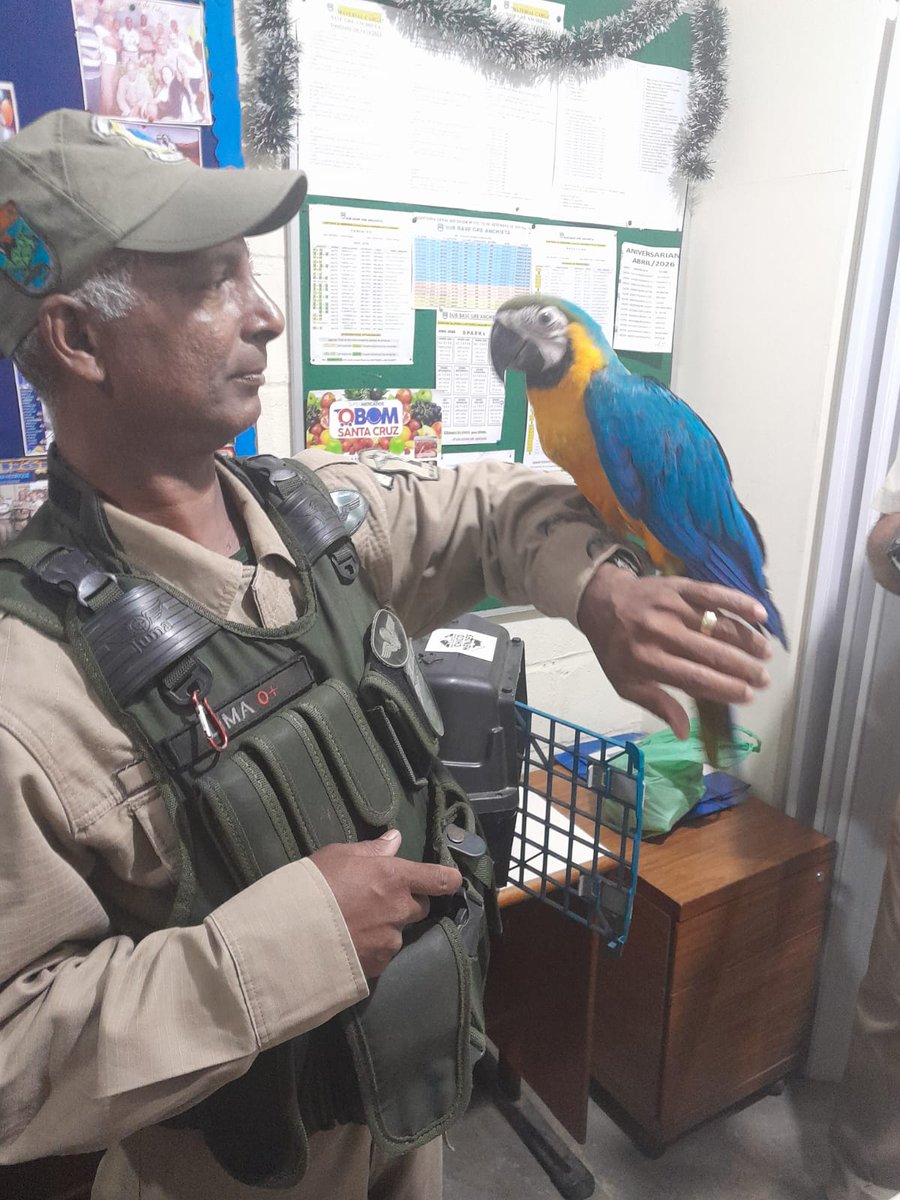 Guarda Municipal Rio tweet media