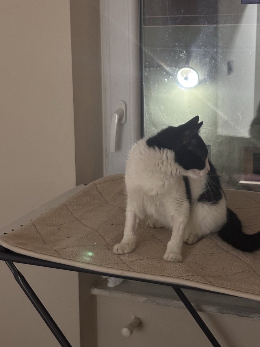 Sansliyayuvaolurmusunuz tweet media