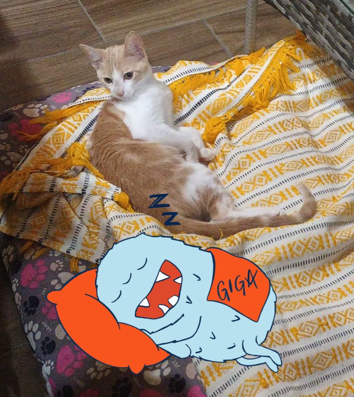 Monart🔶🐾✨ tweet media