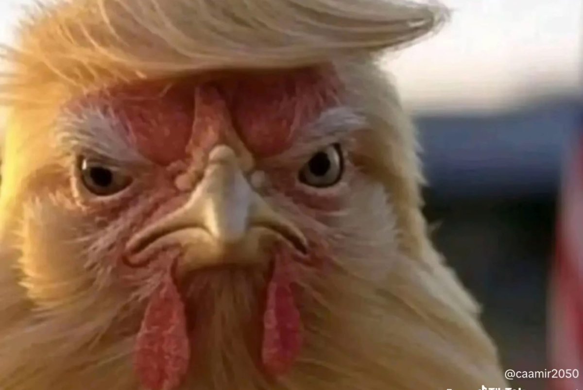 ZeeZu 🩶 tweet media