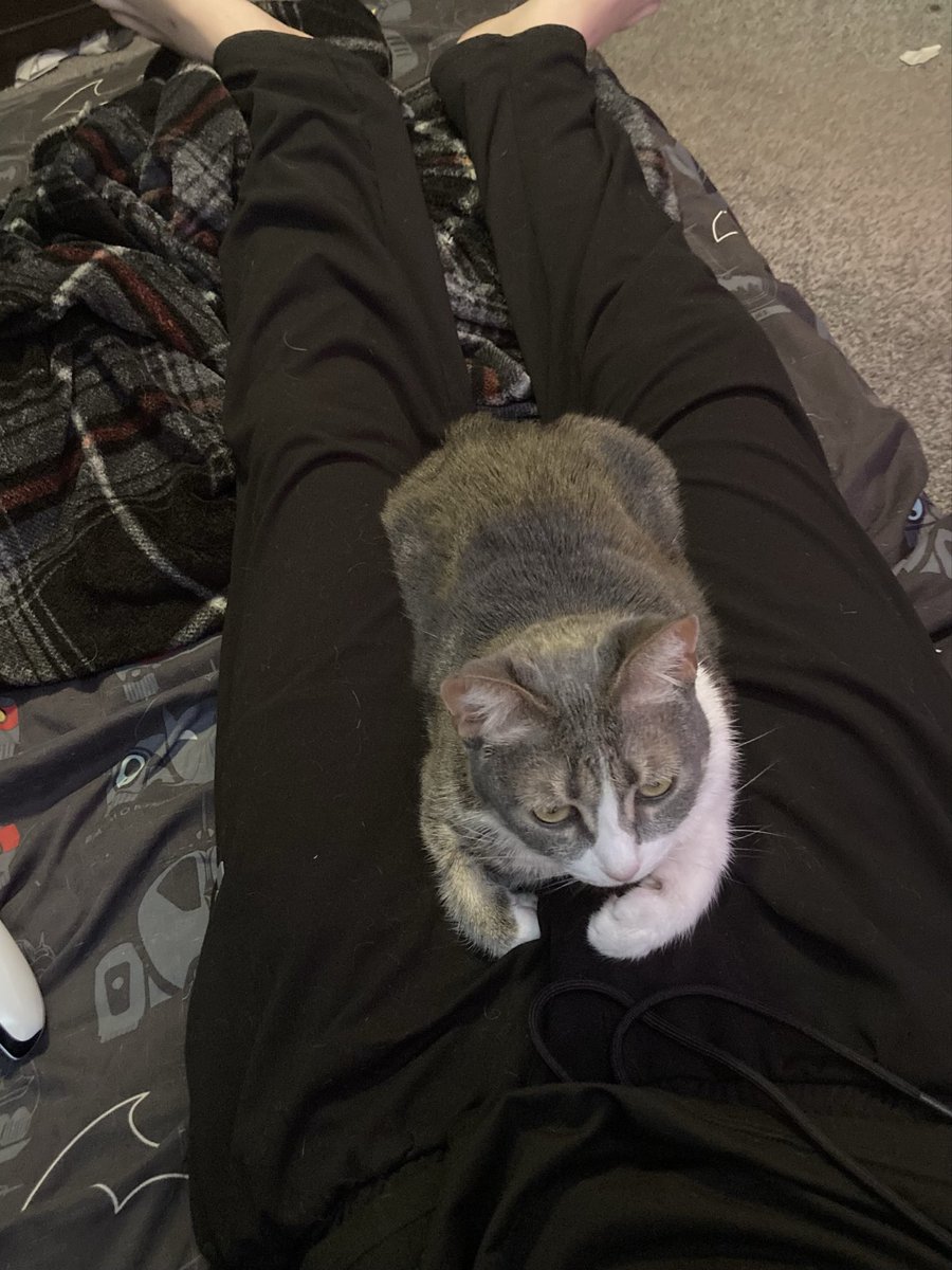 She looks like she’s about to fall asleep my thighs cannot be that comfortable