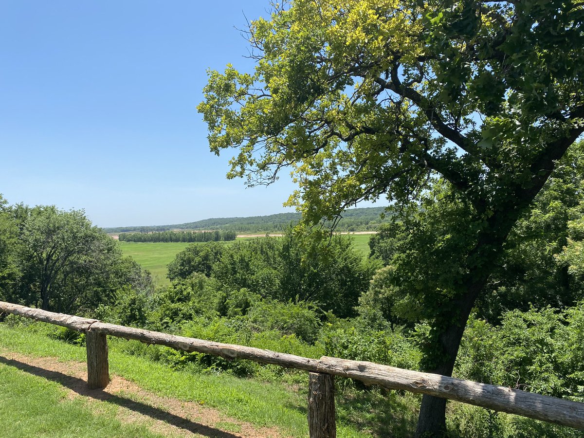 ASTRA 🏳️‍⚧️ tweet media