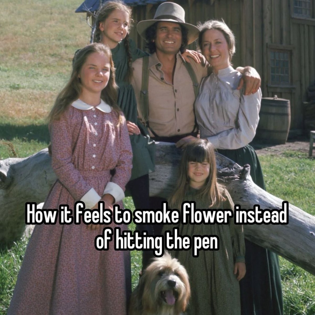 things that i smoke weed to tweet media