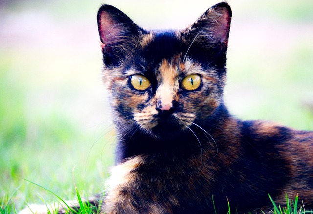 Heather Edwards tweet media