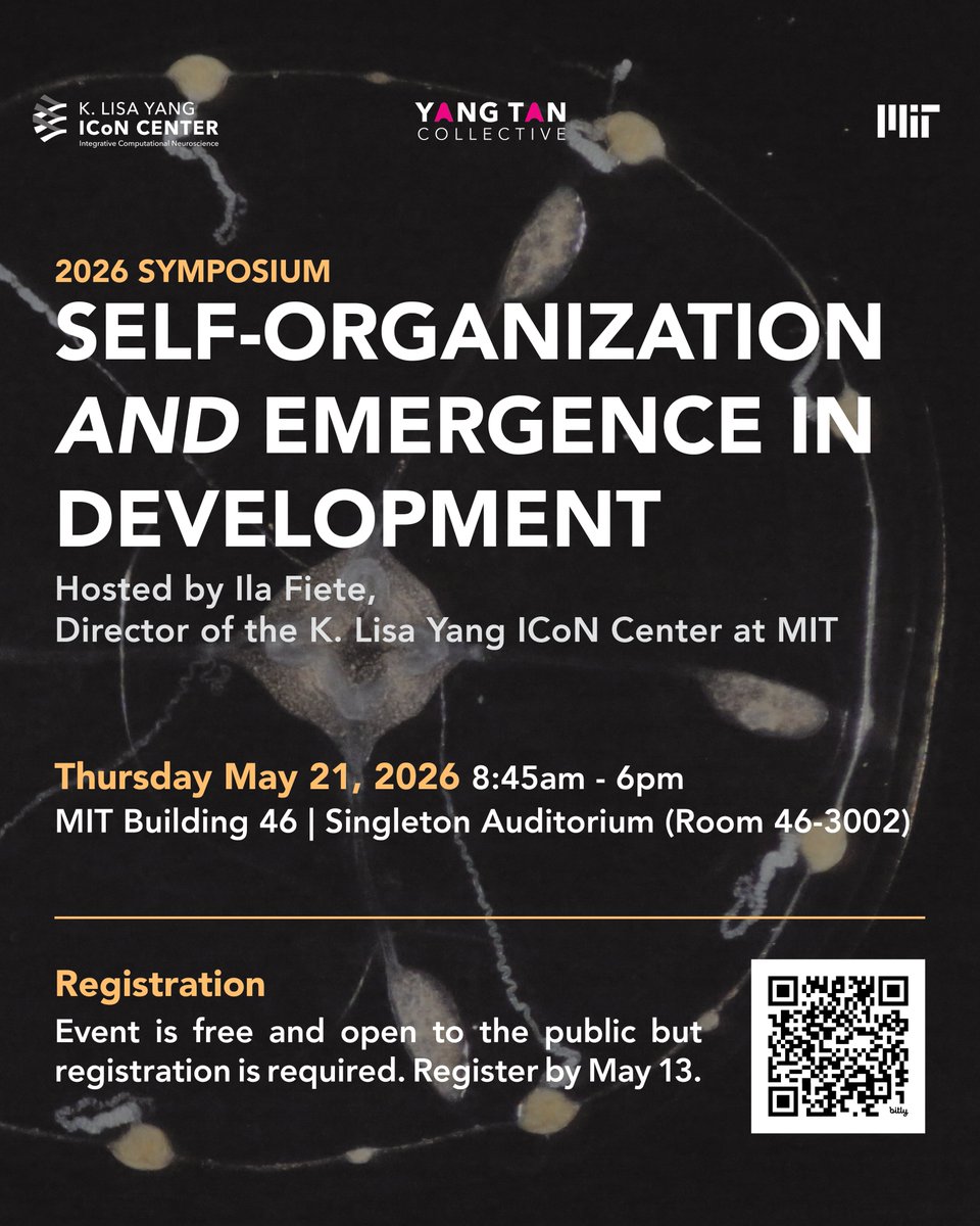 Yang Tan Collective tweet media