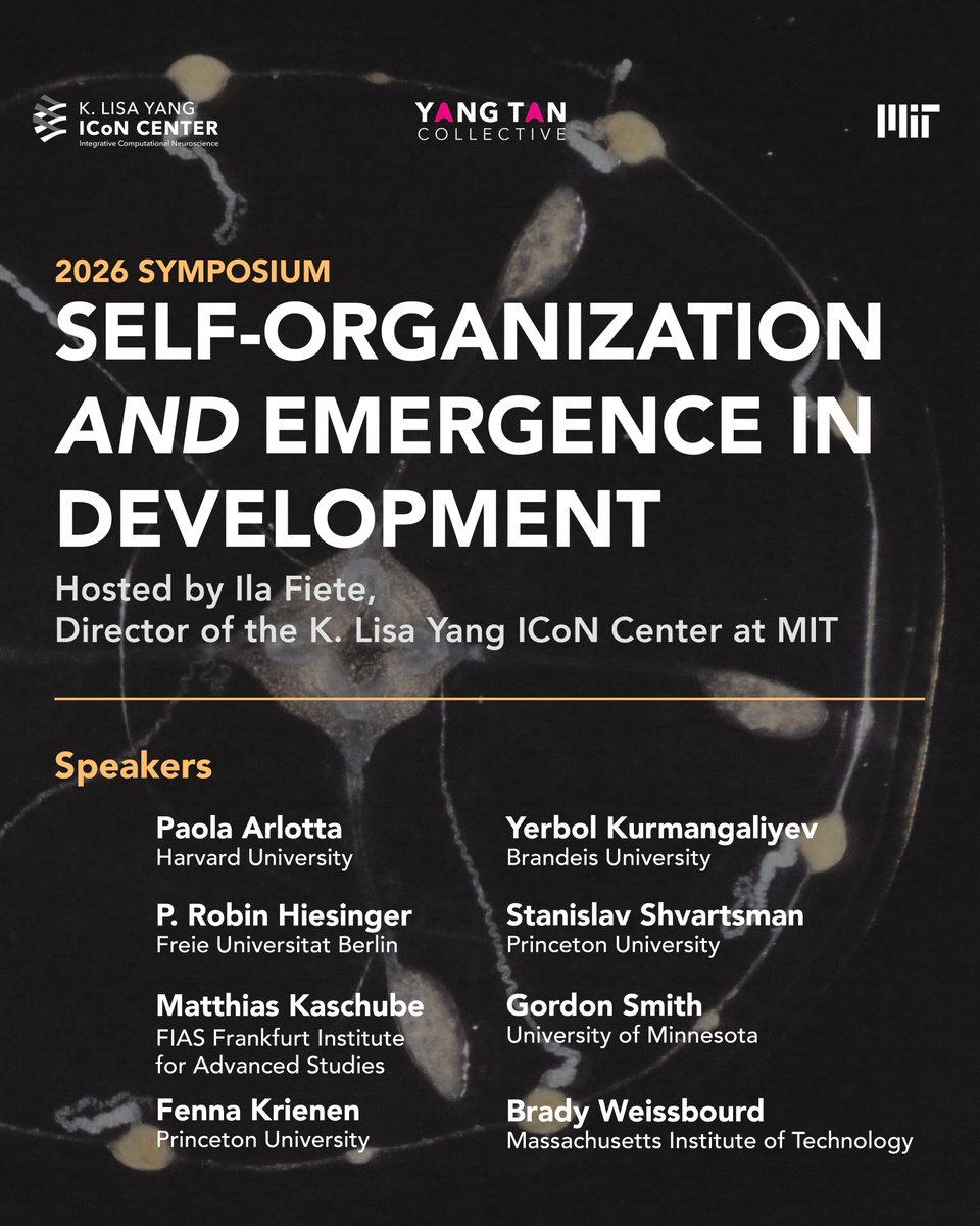 Yang Tan Collective tweet media