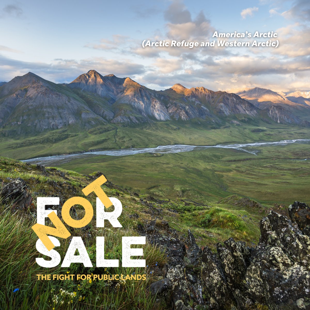 Alaska Wilderness League tweet media