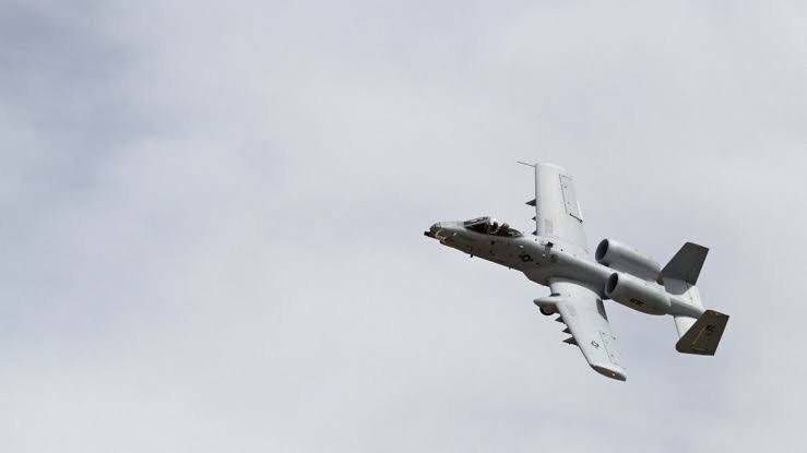 Lord Bebo tweet media