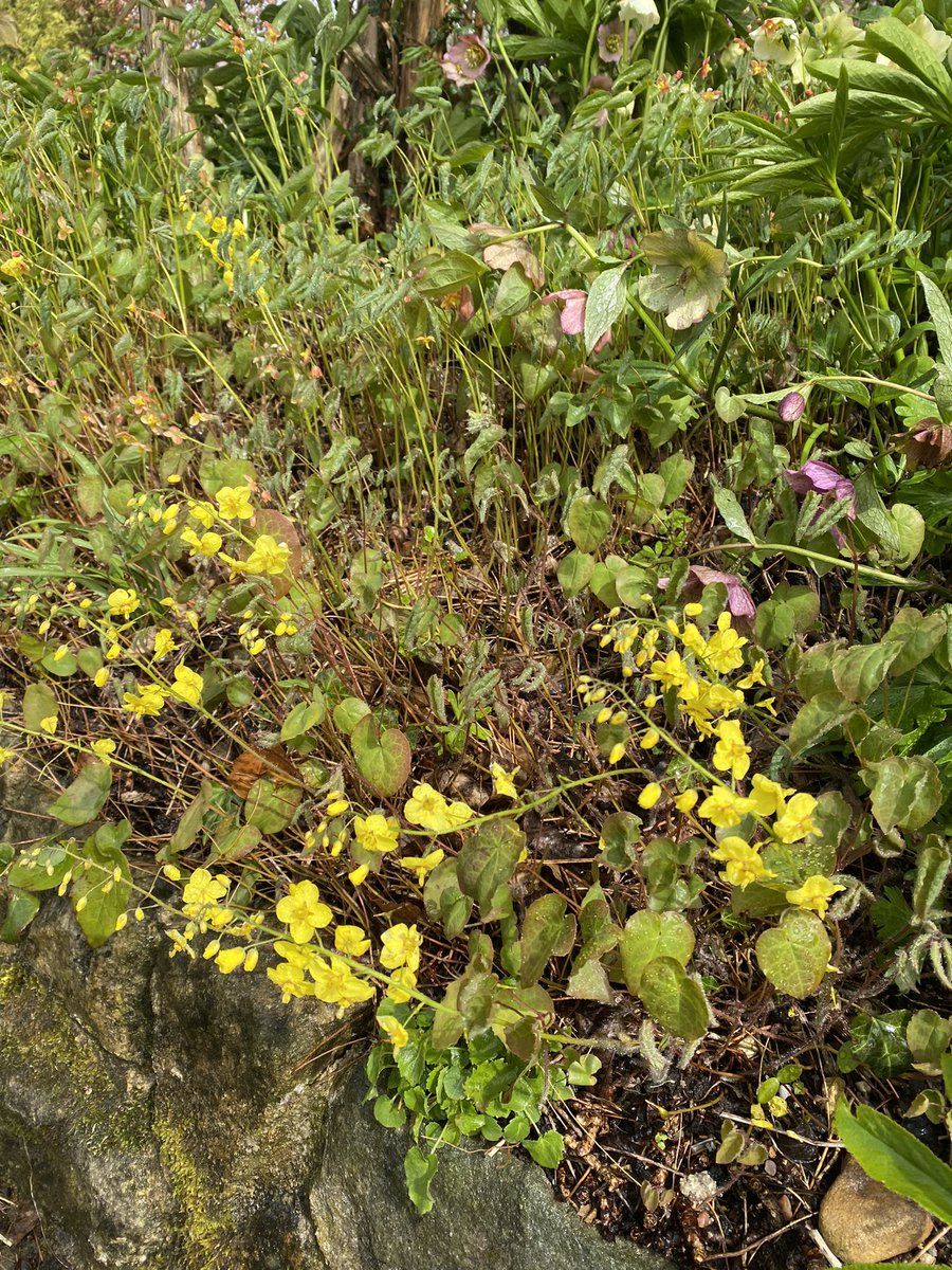 Michael Myers tweet media