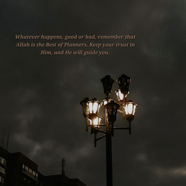 عرشي .Dr tweet media