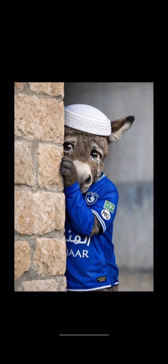 محسن بن محمد tweet media