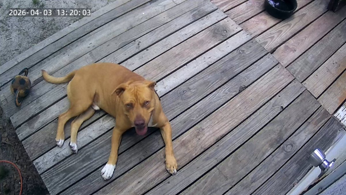 🎤✨ (74.2!!/114lbs) | keeper of croomfs tweet media