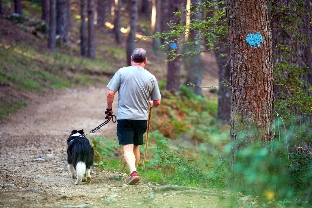 Respeta los #senderos

Nos ayudan a movernos por la naturaleza de forma más eficiente, concentrando nuestra erosión en una pequeña franja de suelo y orientándonos por las vías menos perjudiciales para la conservación del espacio

📷 <a href="/alpesa89/">Álvaro Pérez Salinero</a>

i.mtr.cool/oyokyaytje