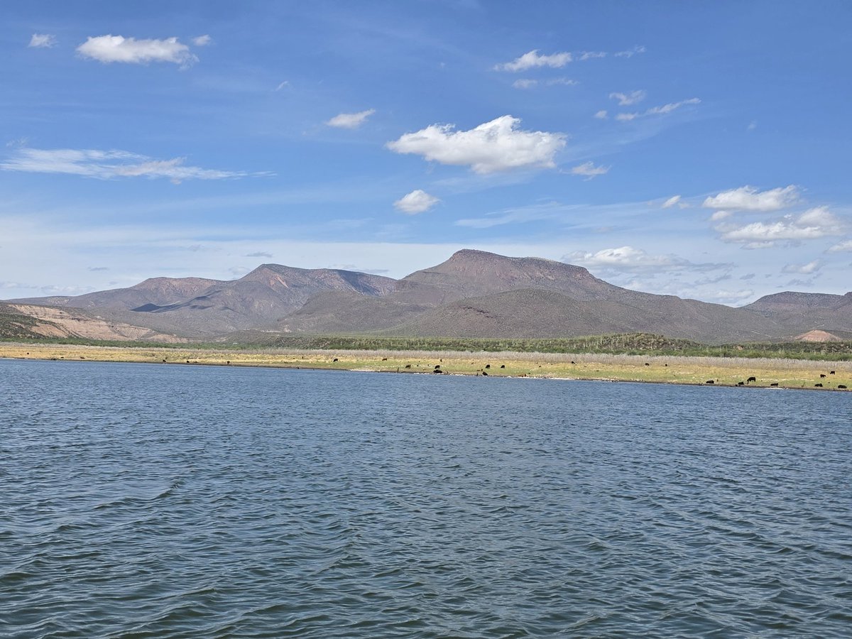 Falkkon00 tweet media