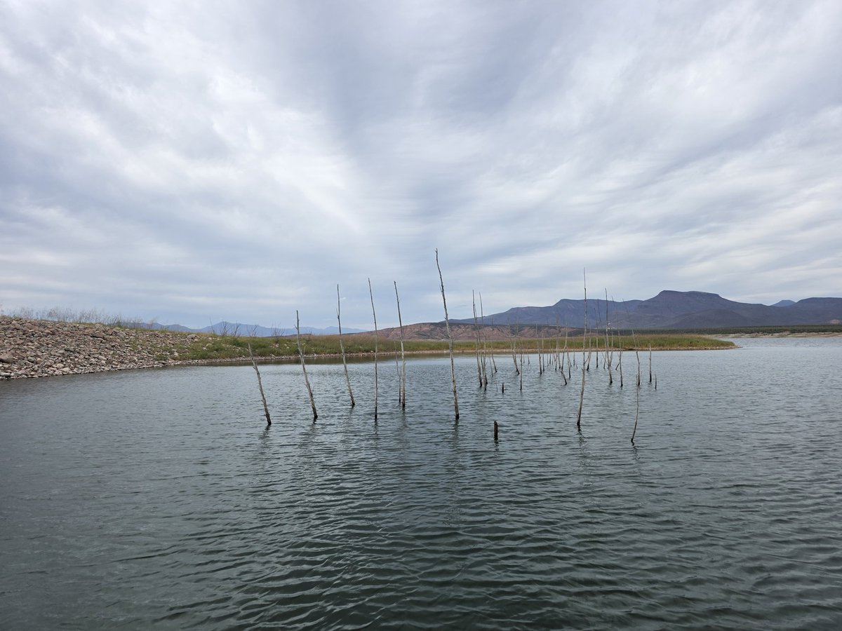 Falkkon00 tweet media