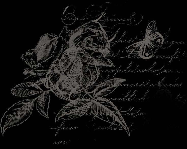 𝐳𝐚𝐫 tweet media