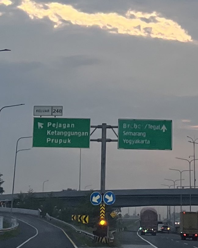 °❀⋆.ೃ࿔*:･°❀⋆.ೃ࿔*:･ tweet media