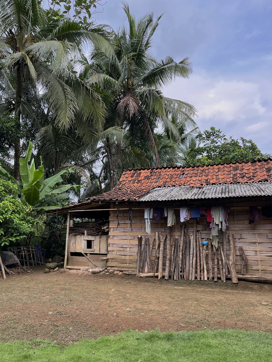 °❀⋆.ೃ࿔*:･°❀⋆.ೃ࿔*:･ tweet media