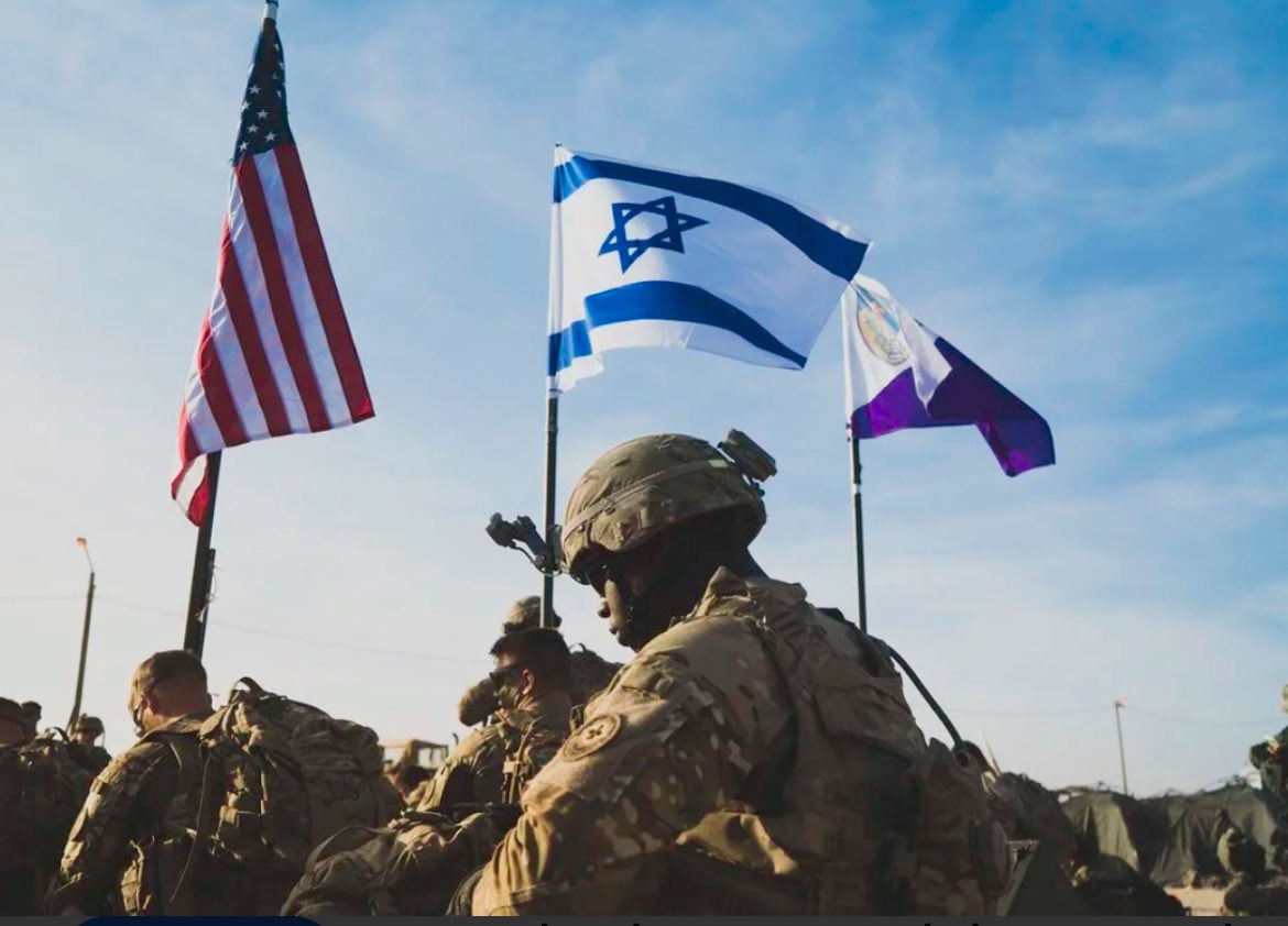 Vivid.🇮🇱 tweet media