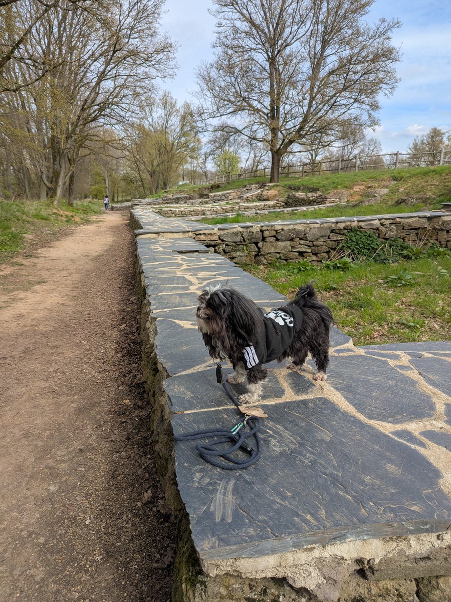 Püppy 🎀 tweet media