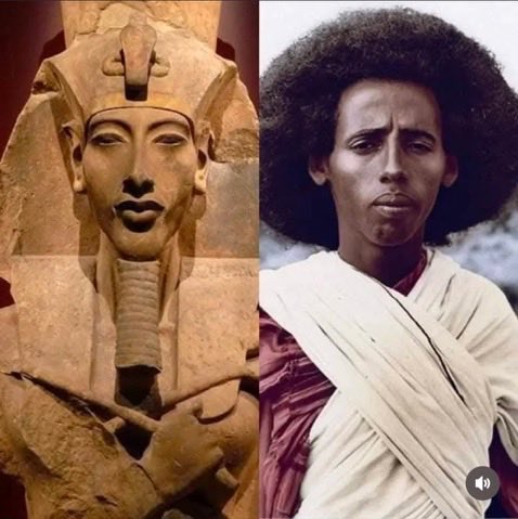 Semitic Jew tweet media