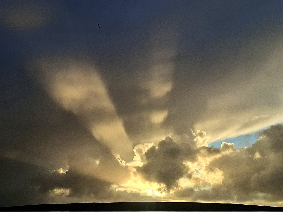 Catherine Munro tweet media