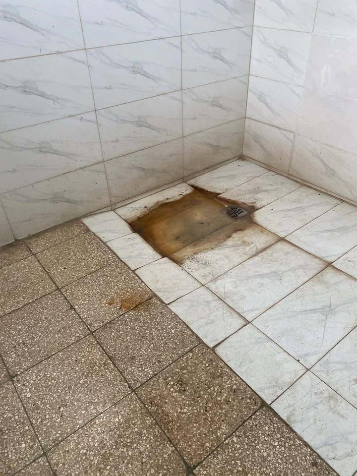 Mario J. Pentón tweet media