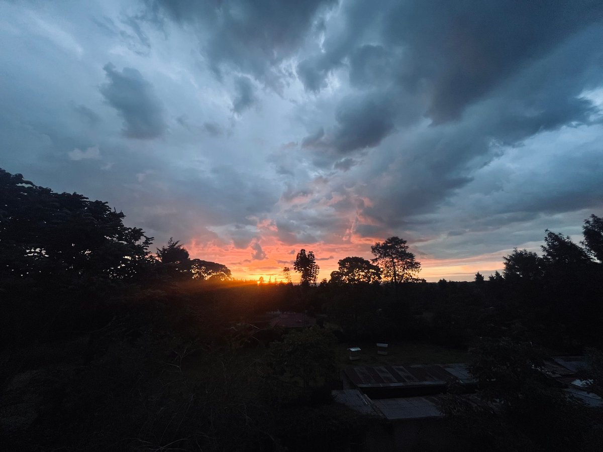 Stuard ☆ tweet media