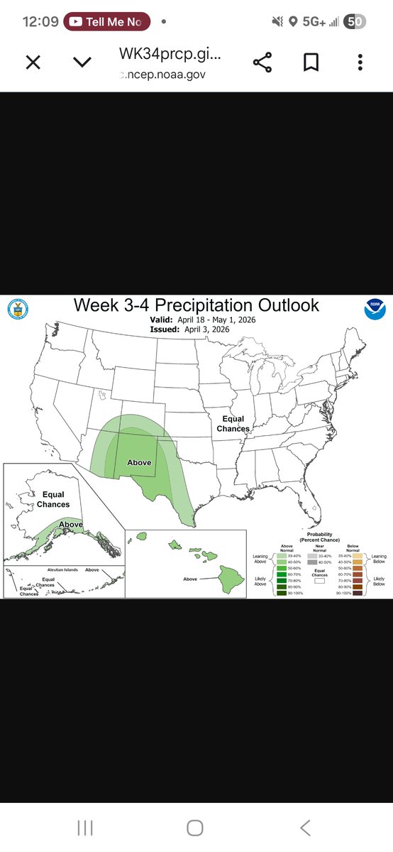 steven billington tweet media