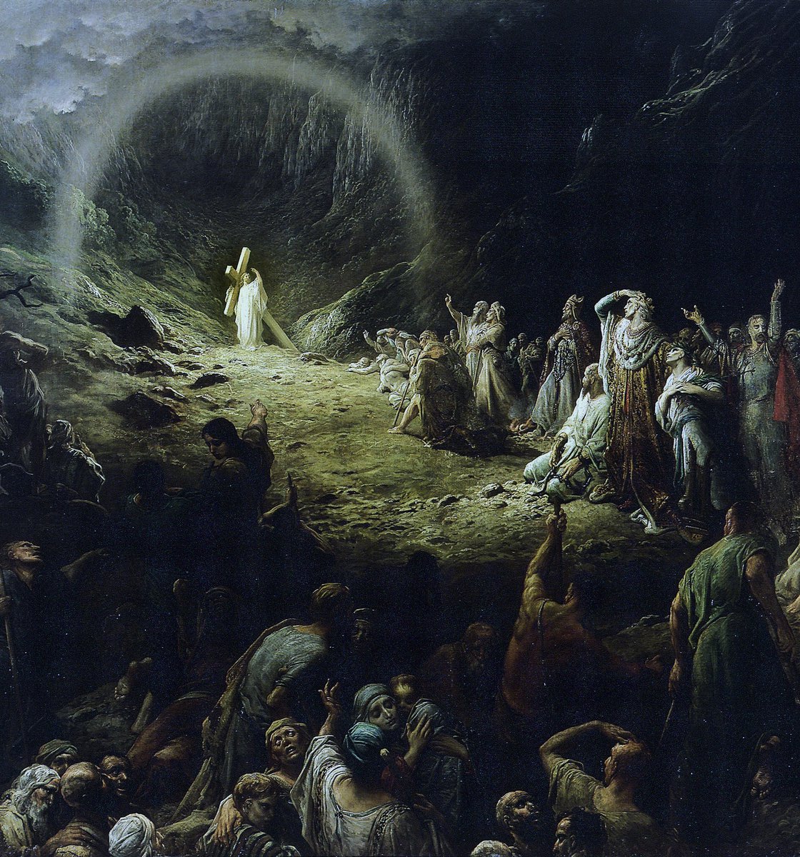 Frogmouth tweet media