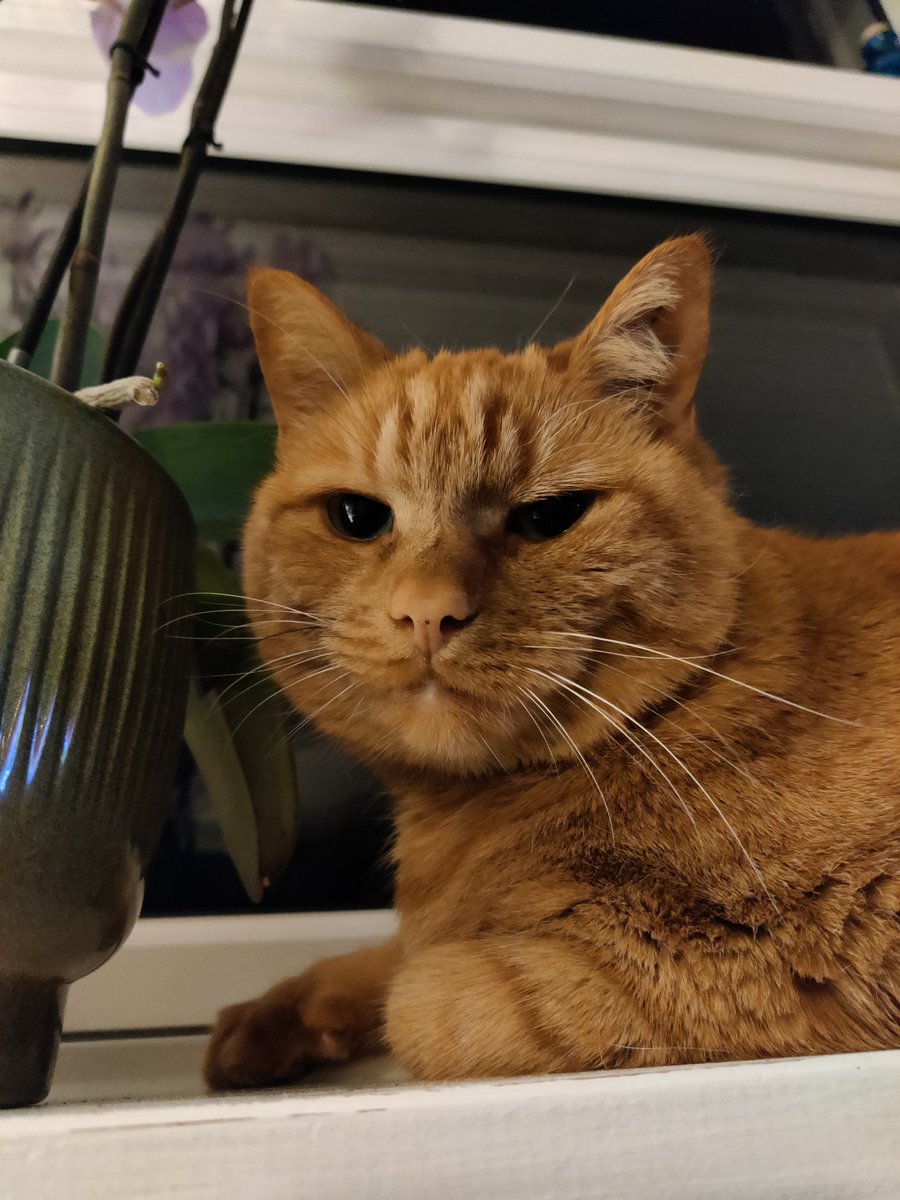 caille Gingür 💥 tweet media