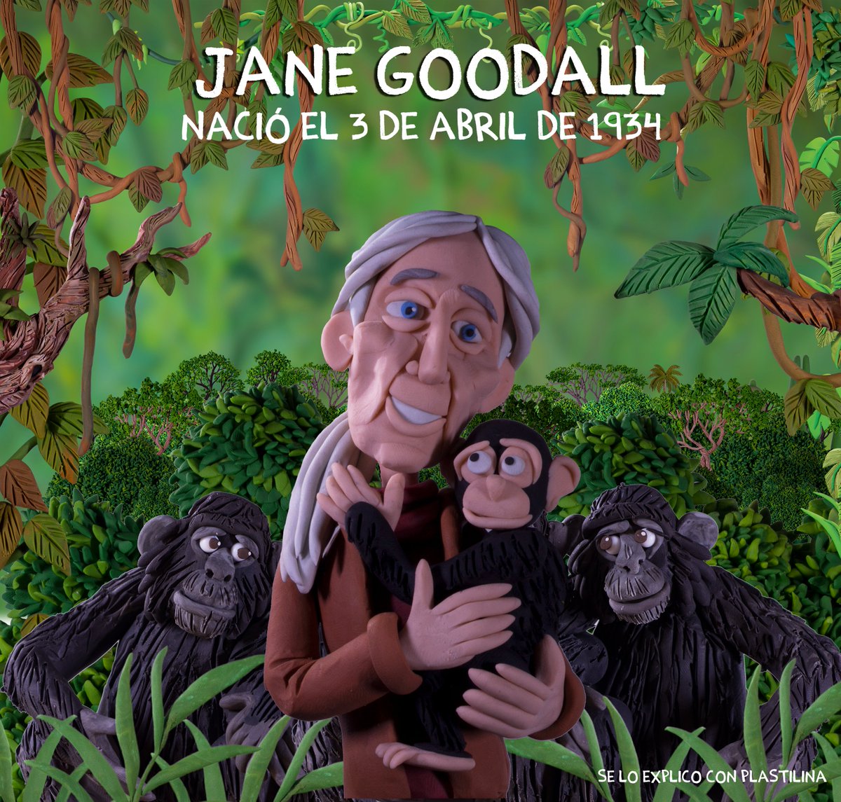 ¿Se lo explico con plastilina? tweet media