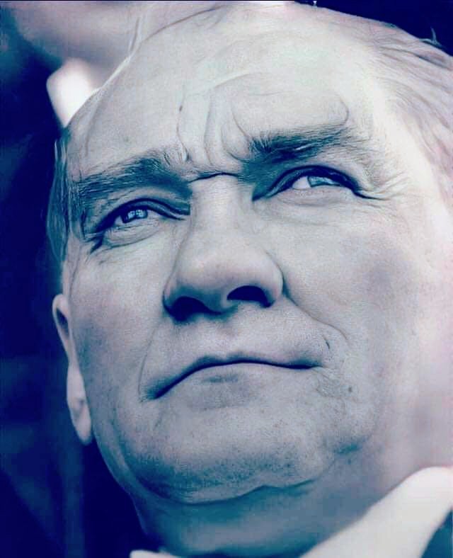 Ayla baydar tweet media