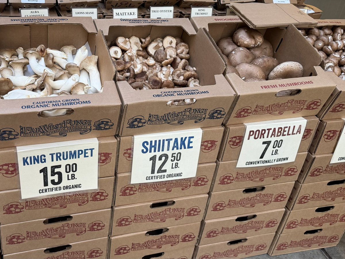 Chef Joe Gera 🏳️‍🌈🏳️‍⚧️🇮🇹 tweet media