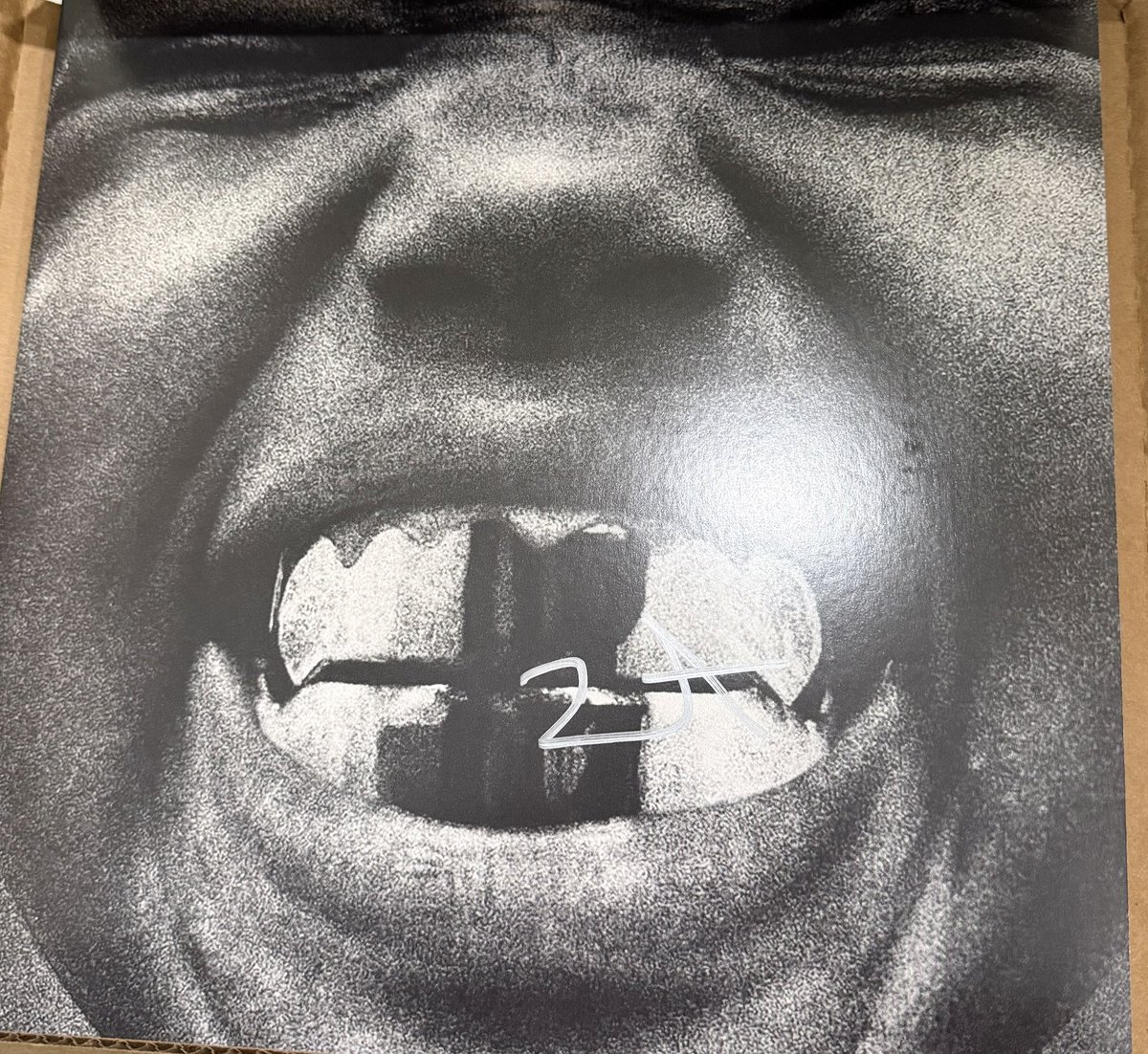 MY SIGNED BULLY LP ARRIVED!!