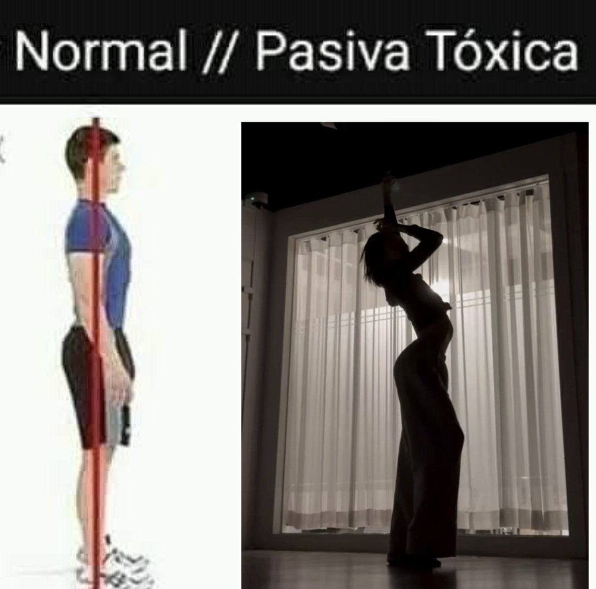 acervo xlov tweet media