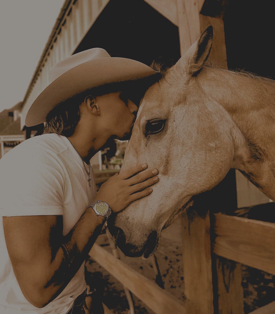 ‍ ‍ ‍ ‍ 𝐆𝐎𝐍𝐄 ╱ 𝕮𝙾𝚄𝙽𝚃𝚁𝚈 . tweet media