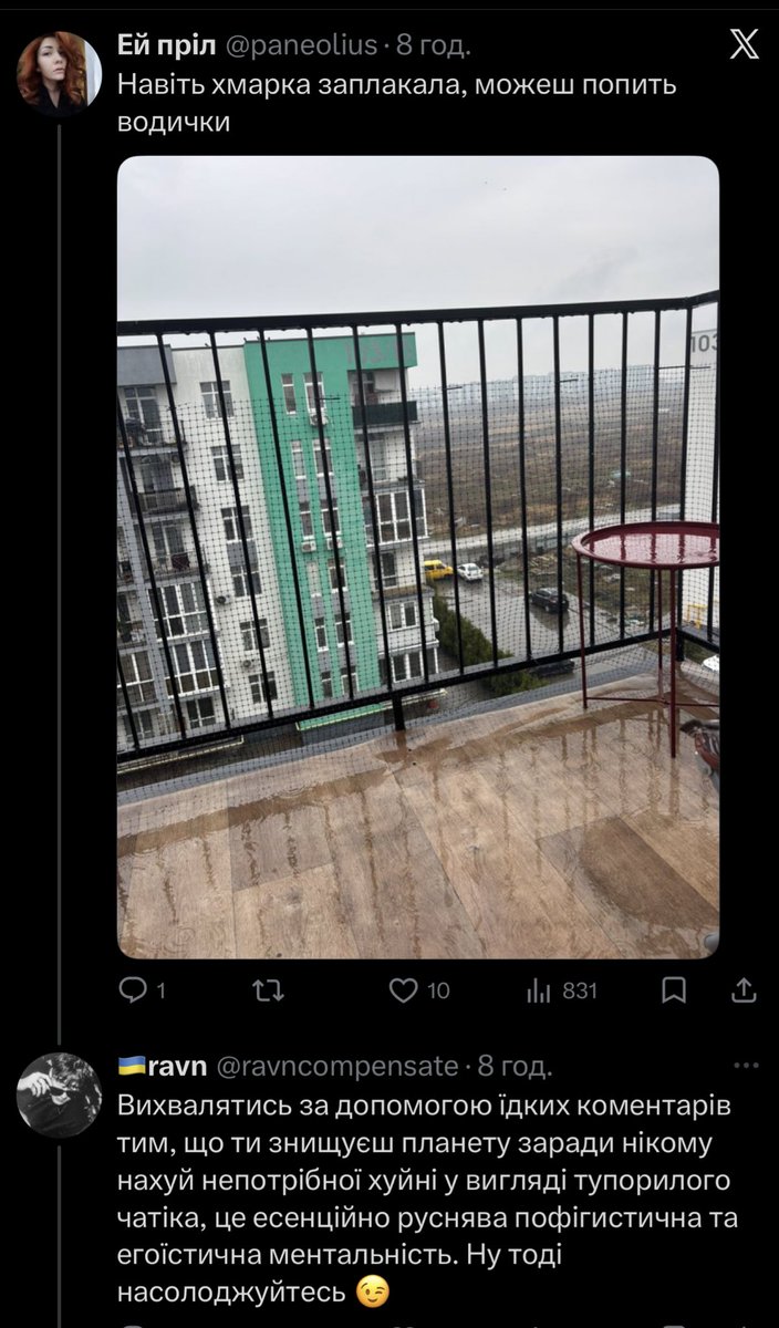 Чорна птаха з білою ознакою tweet media