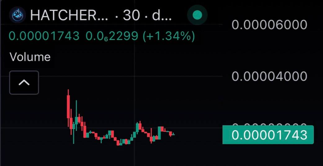 Bonaflips tweet media