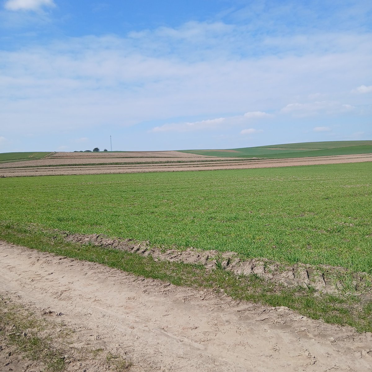 Amos #Magyar2026 tweet media