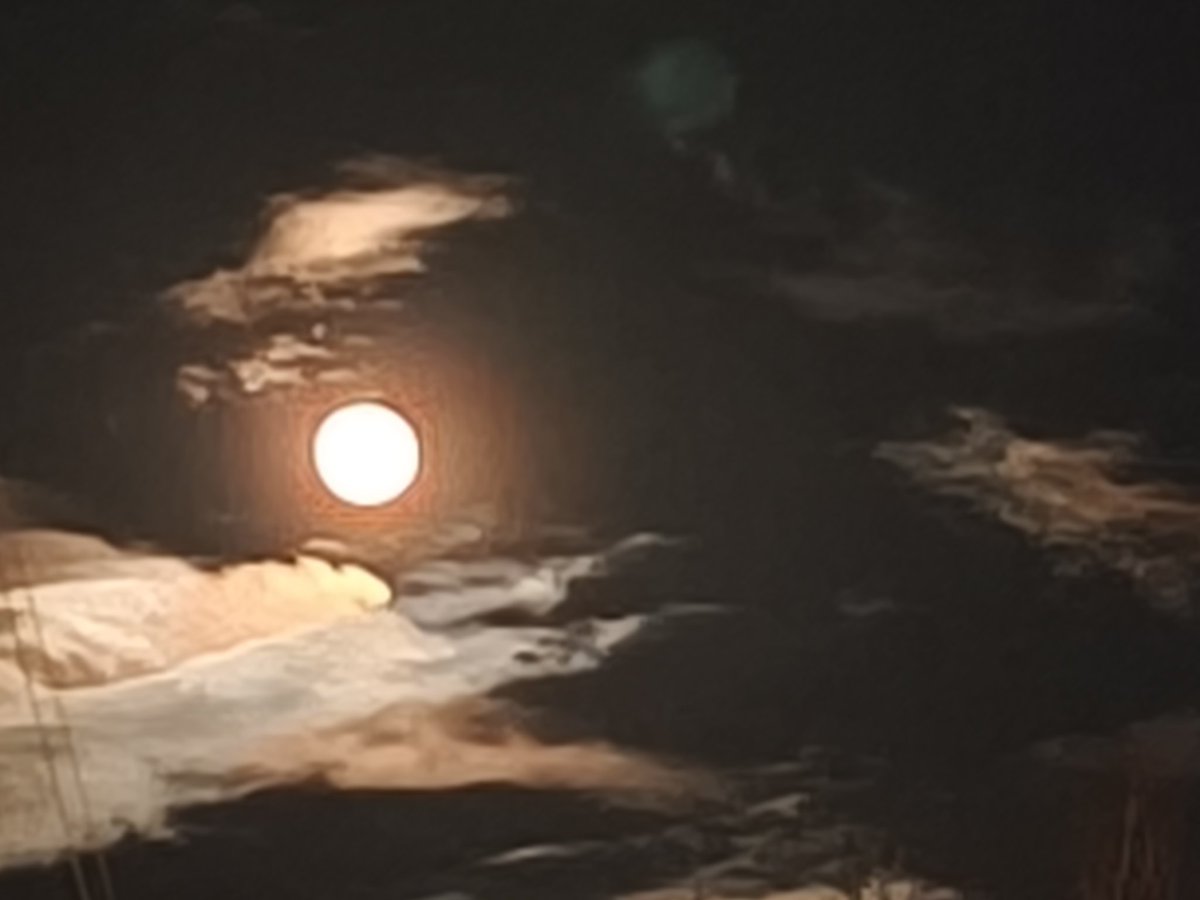 MyCooLL🕵️♂️🆒️ tweet media