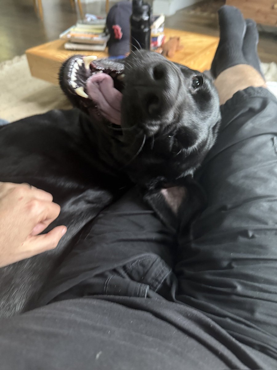 Dooner 🇺🇸 tweet media